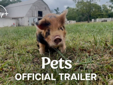 pets-trailer-disney-plus-documentary